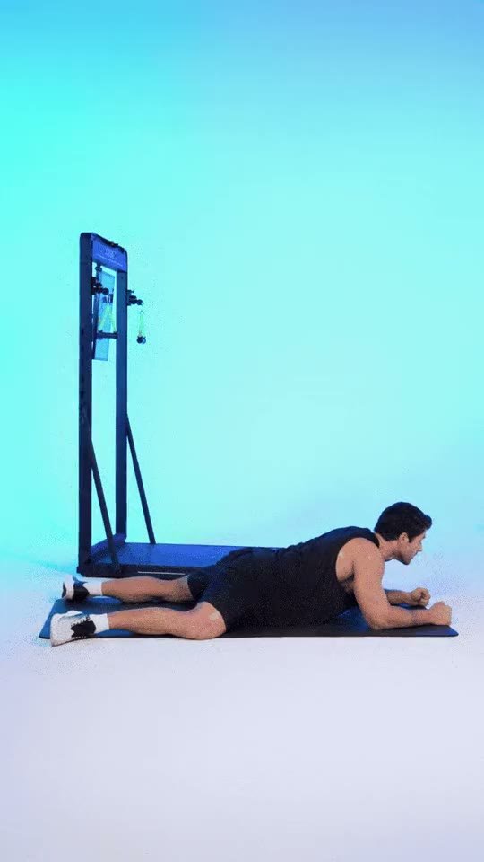 Plank