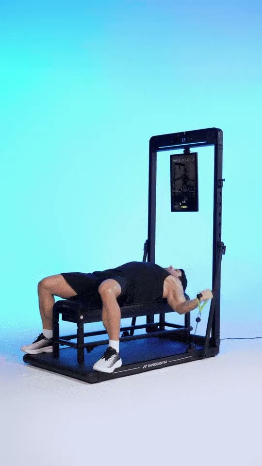 Seated Leg Curl